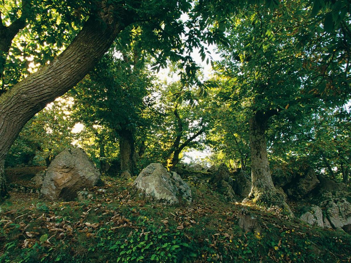 Villa Locazione Turistica Casale Ulisse Roccastrada Esterno foto
